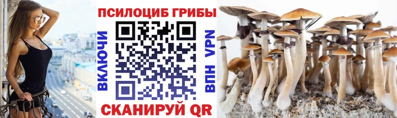 Псилоцибиновые грибы мицелий  кракен как войти  Белореченск 